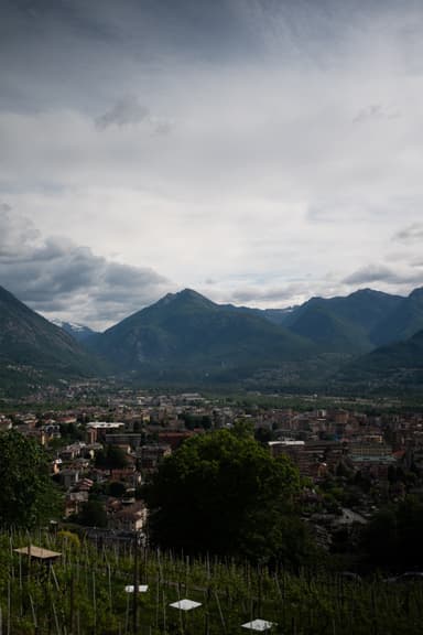 '2° Focus Group Italiano' - Domodossola - 20 maggio 2026