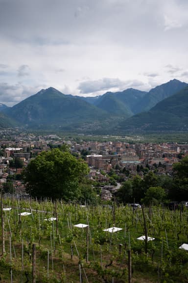 '2° Focus Group Italiano' - Domodossola - 20 maggio 2026
